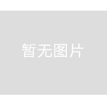 確保高壓油泵保持穩(wěn)定性能的基本原則 